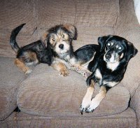 Hillary and Jasmine when she was a puppy